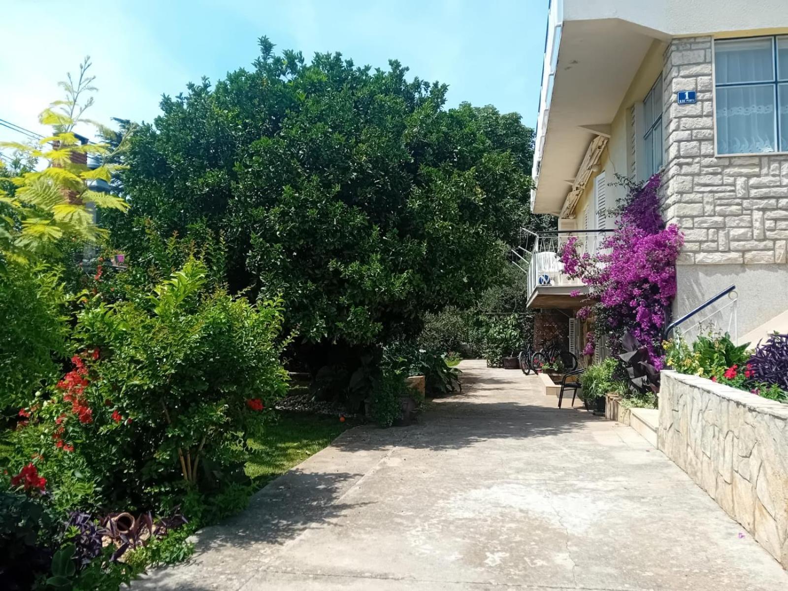 Apartments Angie Zadar Extérieur photo